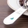 2Pcs Stainless Steel Coffee Scoop Measuring Spoon Short Handle Tablespoon for Coffee Milk Powder Fruit Powder