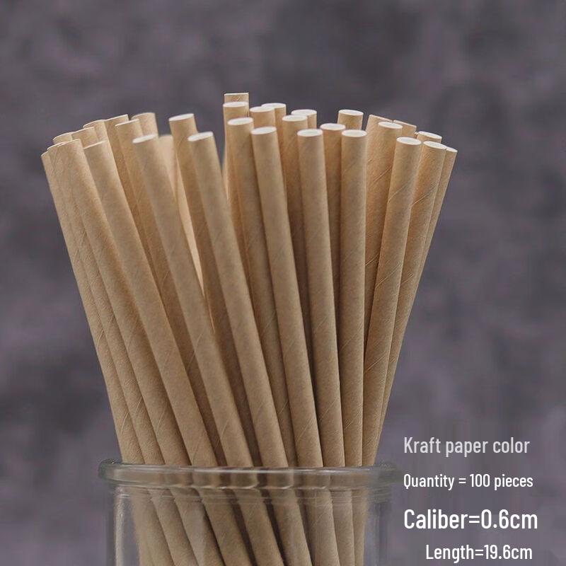 ZISIZ Biodegradable Individually Wrapped Paper Straws