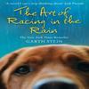 The Art of Racing In the Rain by Garth Stein Paperback Book 9780007281190
