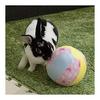 Mini Animan Rabbit Toy Big Soft Ball