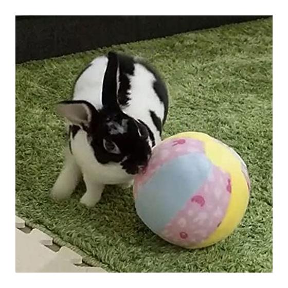 Mini Animan Rabbit Toy Big Soft Ball