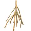 Mangrove Root
