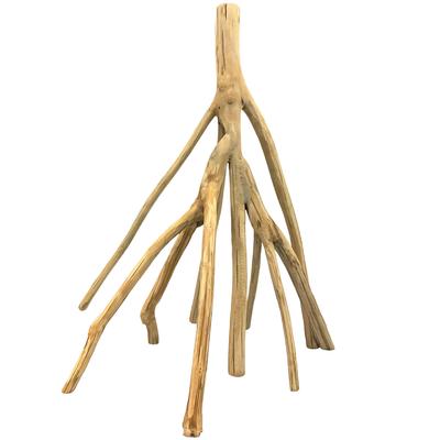 Mangrove Root