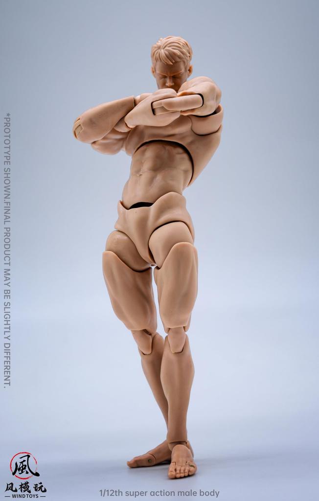 WIND TOYS 1/12 Scale PVC & POM Super Articulated Figure, Male Body, Normal