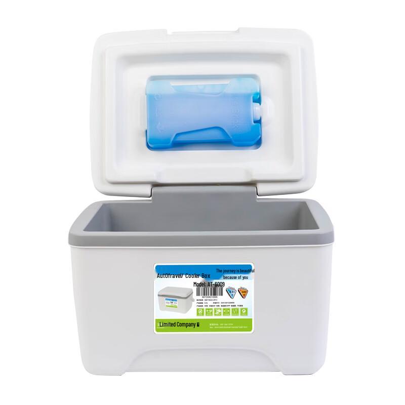 American Tourister 8L Portable Camping Cooler Box