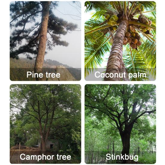 Juego de Picos para Trepar Árboles Acero Espuelas para Trepar Árboles Kit de Gaffs Árbol Endurecido a Alta Temperatura