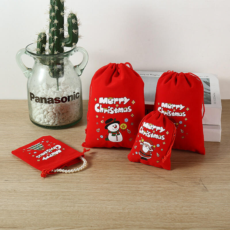 Artfield Christmas Aperture Pouch L