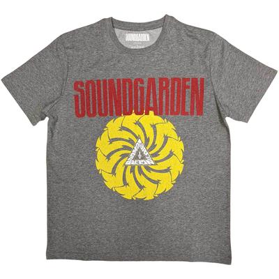Üst giysisi – T-shirtler