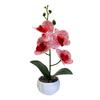 Multicolor Artificial Orchid Bonsai White Flowerpot Green Leaves Simulation Flower Potted Photo Props Accessories