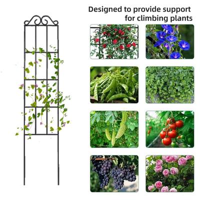 Metal Garden Trellis Climbing Plants Frame Trellis Decorative Plant Support Frame for Clematis Roses Outdoor Indoor Use