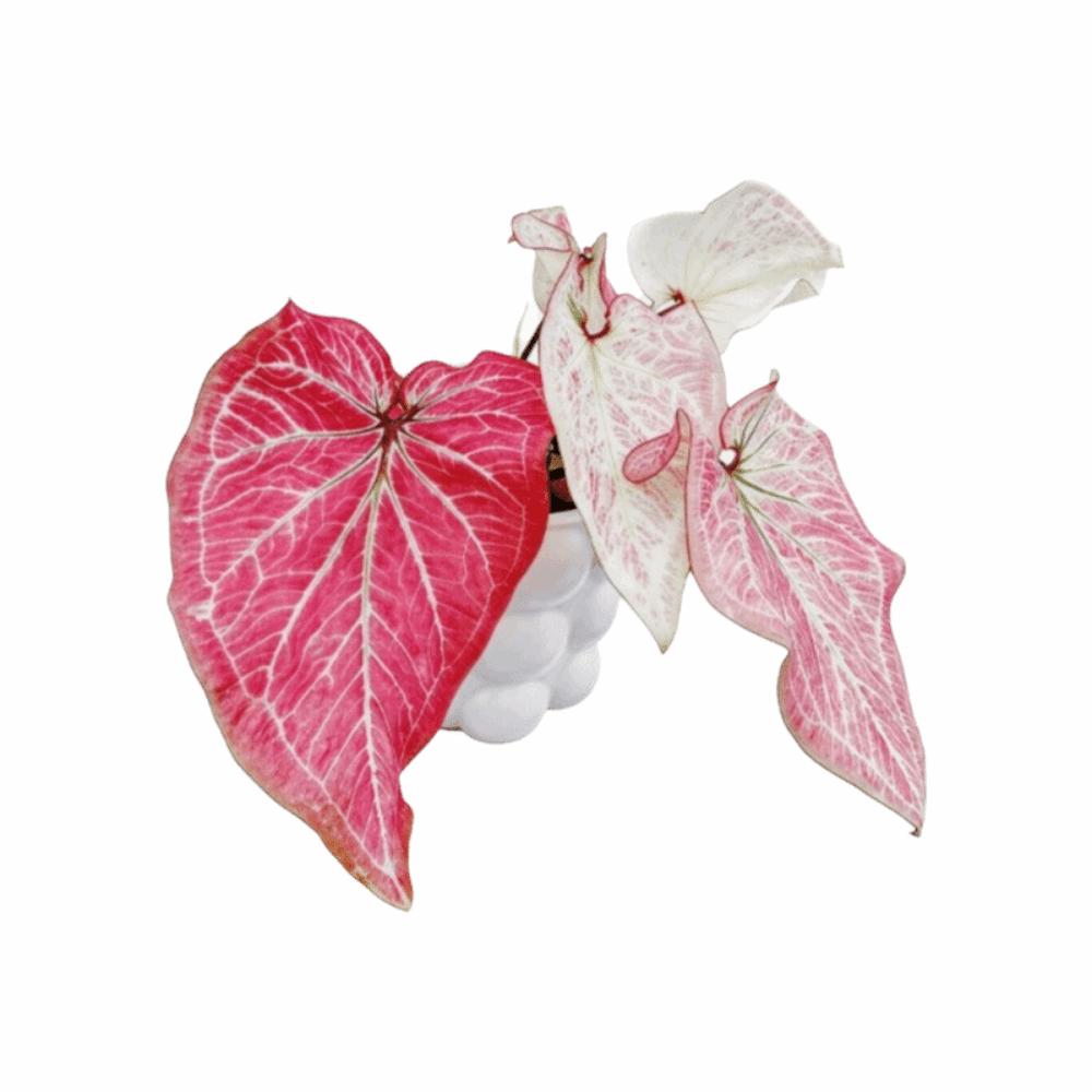 Rotatable Artificial Plant Fridge Stickers Magnets Waterproof Mini Plant Fridge Magnet Kitchen