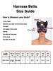 Women'S Sexy Leather Chest Decoration Tight Strap Fashion Versatile Harajuku Style Cat Face Mask Flirting Clothing Accessories