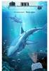 Children's 2.4G Remote Control Electric Shark Boat Toy - Swimming Wiggle Fish Model