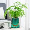 With Handle Lazy Plant Pot Self Watering Potted Flower Pot Durable Soil Flower Pot