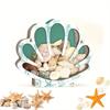 Seashell Container For Display Portable Seashell Display Decorative Wooden Clear Portable Holder For Exhibiting Kids Beach