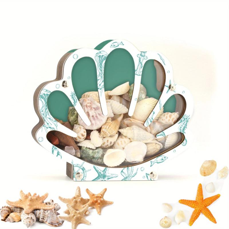 Seashell Container For Display Portable Seashell Display Decorative Wooden Clear Portable Holder For Exhibiting Kids Beach
