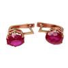 Purple Gold Inlaid Redstone Earrings Cold Wind Temperament Fashion Rose Gold Plated Ear Buckles