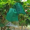 Biodegradable Grape Protection Bags: Rainproof, Insect-Proof, Bird-Proof, and Breathable