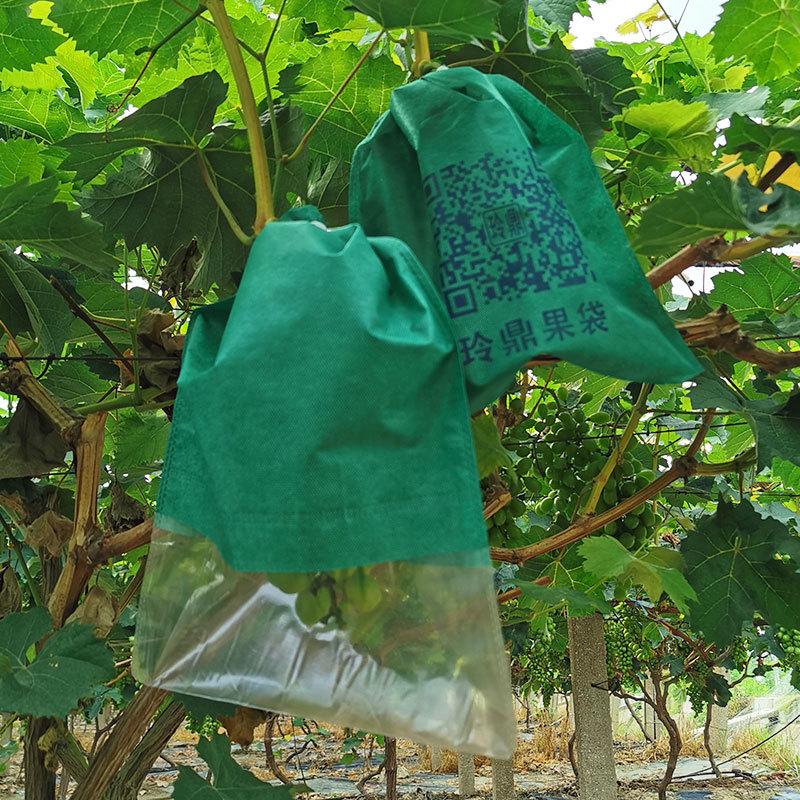 Biodegradable Grape Protection Bags: Rainproof, Insect-Proof, Bird-Proof, and Breathable