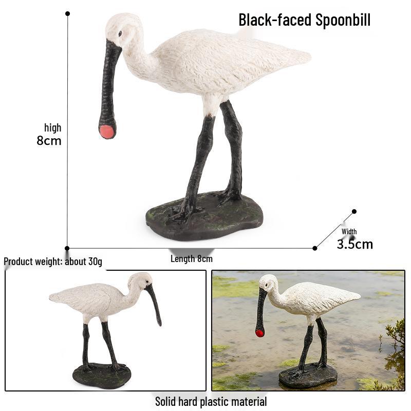 Kids' Bird Model Set: Toucan, Parrot, Ostrich, Peacock, Eagle, Pigeon, Owl.