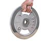 WEZHO Electroplated Dumbbell Plate
