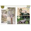 Animal Photo Book Horns and Antlers Comparison Ikimono Shashinkan 3 Japanese Picture Book