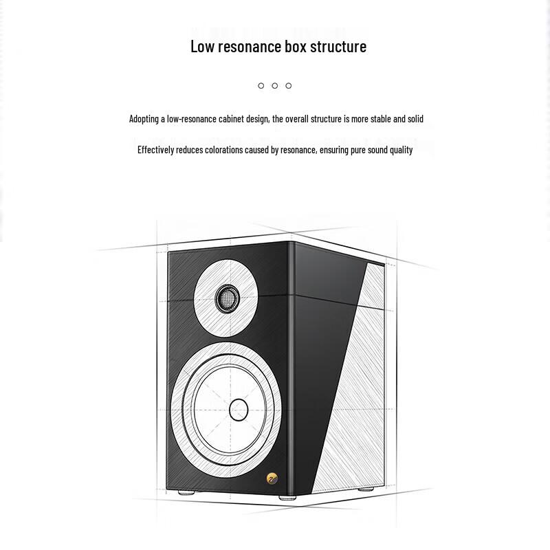 HiVi D810 Passive HiFi Bookshelf Speaker (CN Version)