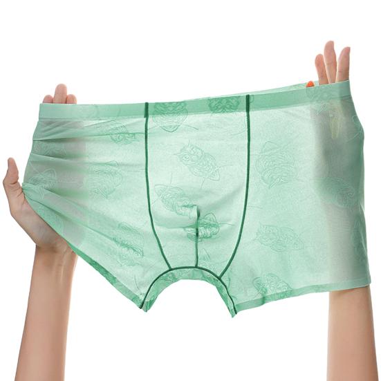 Men Boxer Underwear Low-rise Perspective Thin Shorts Panties Perspective Embroidery Lace Owl Pattern U-convex Underwear