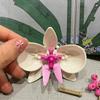An Orchid Bouquet Is An Ideal Gift Suitable For Home Decoration And Is A Perfect Small Accessory.