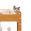 Langlebige Kratzmatte und Bett für Katzen - Ganzjahres-Kratzschutz für Sofa und Spielzeug