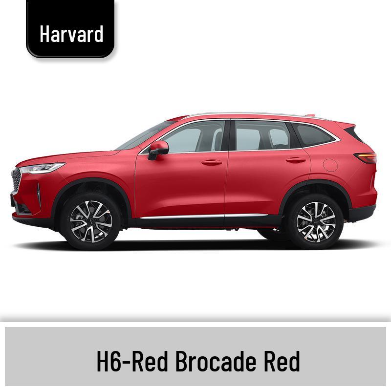 Haval H6 Cool Dog Touch-Up Pen, Black Spot & Ruixue White Scratch Repair Paint