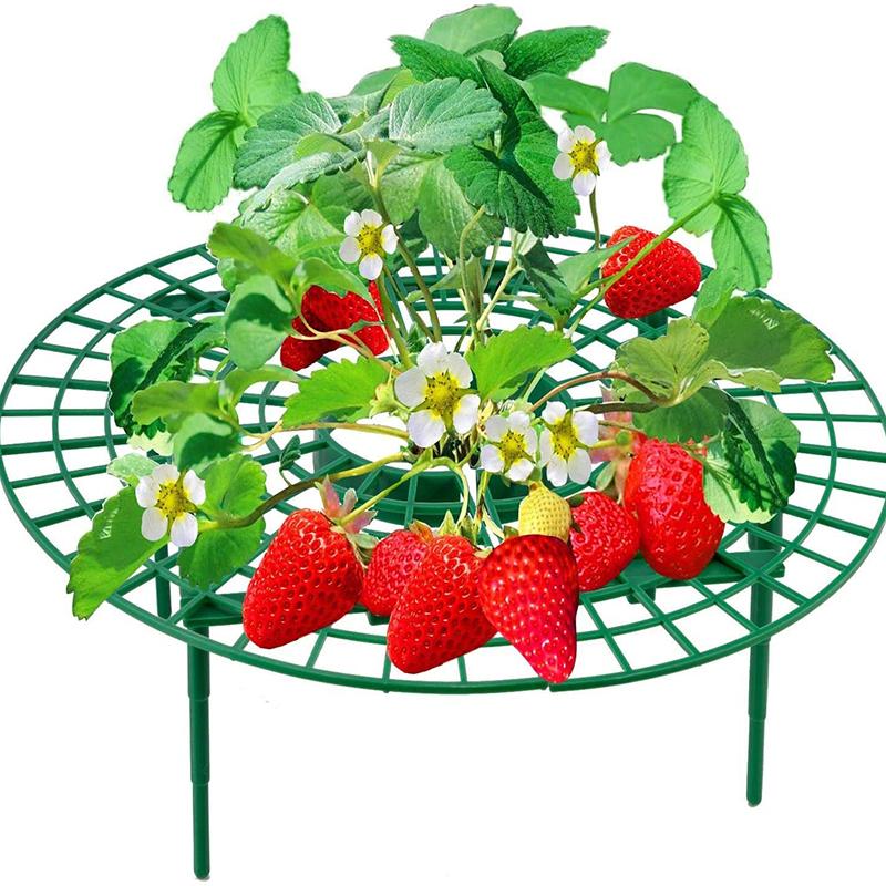 5/10/15/20 Sets Of Strawberry Planting Rack Cultivation Rack Garden Pot Planting Vegetable Rack Fruit Support Gardening Bracket
