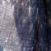 Used Indigo-dyed Large Rayon Stole, Shibori Dyeing, Made in Thailand 3
