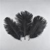 10Pcs Natural Dyed Fluffy Soft Ostrich Feather Handmade Diy Embroidery Feather Jewelry Making Dress Wedding Dress