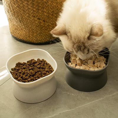 Ciotola per cibo per gatti senza stress Ciotola per gatti inclinata rialzata Protezione antiscivolo Spina dorsale dell'animale domestico Ciotola a doppia faccia Può essere usata in lavastoviglie