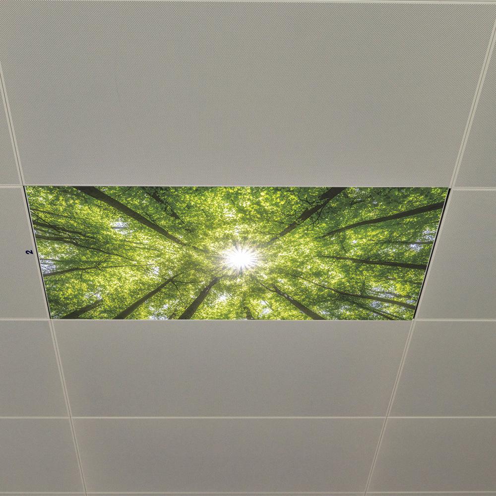 Spring Sunshine Forest Ceiling Roof Bedroom Living Room Home Beautification Stickers