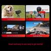 Insta360 Ace Pro 2 Flagship Action Camera (CN version)
