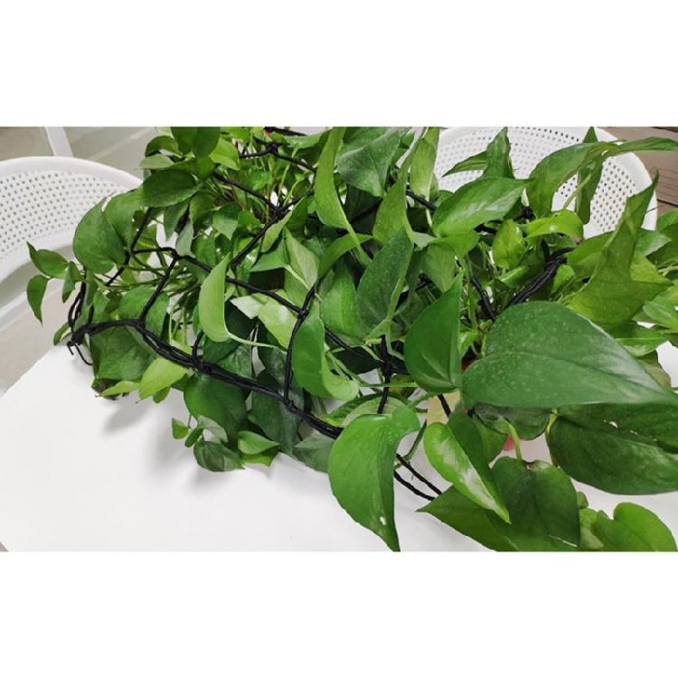 Elastic Trellis Net for Plant Net with Hook Flexible Hydroponics Support