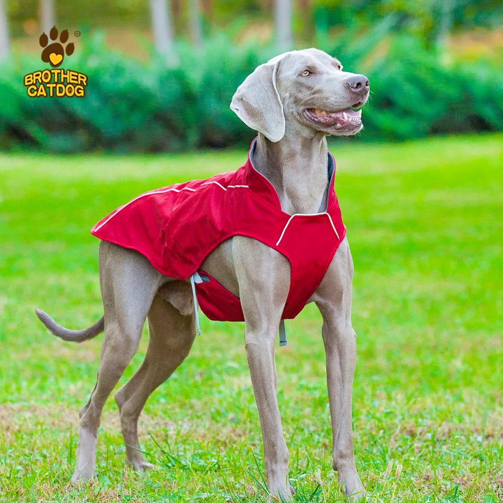 Clearance Windproof & Waterproof Large Dog Sporty Jacket - Warm, Cold-Proof Pet Clothing