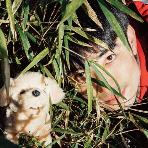 

CD SHUNICHIRO YOKOSAWA - Zettai Daijoubu PCD83032 PCD83032 2020 Japan Obi Japanese Pop/Rock