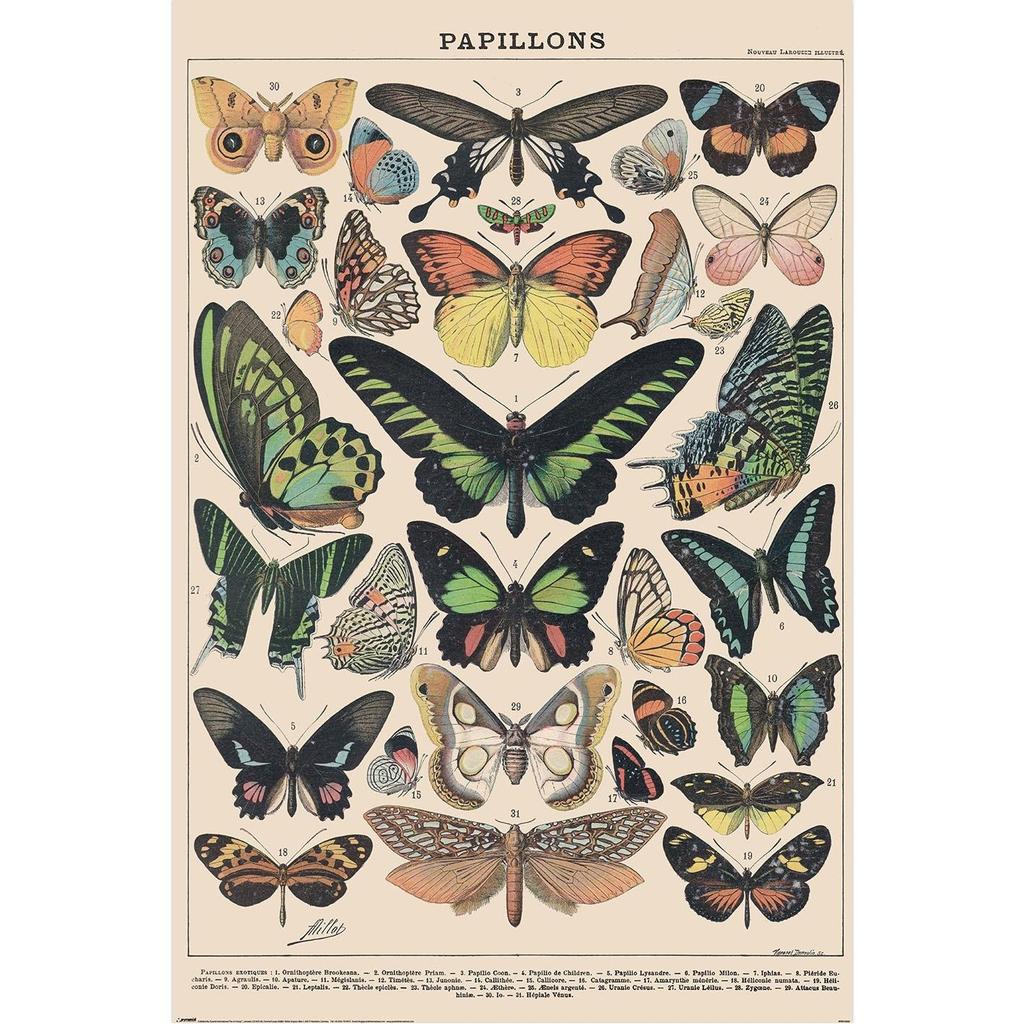 Adolphe Millot Papillon Print