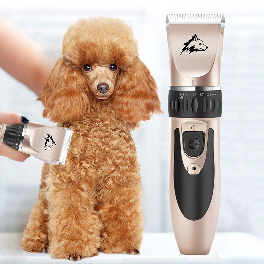 poodle trimmers
