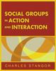The Social Groups In Action and Interaction Book