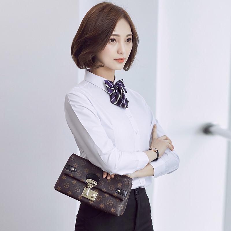 Women's Professional Long Sleeve Blouse