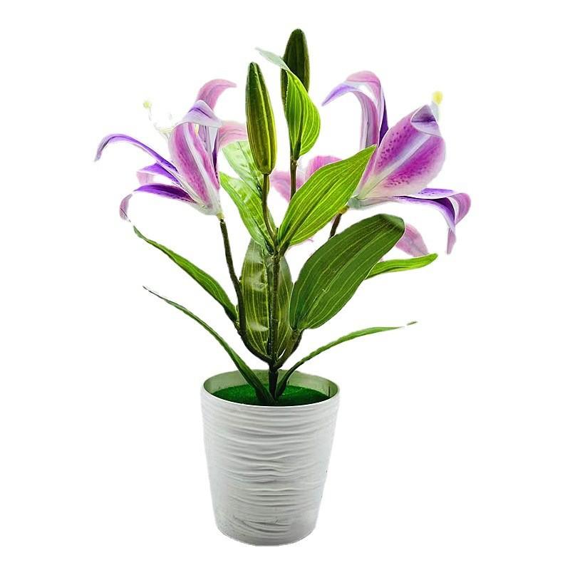 Brownii Lilium Var Viridulum Baker Potted Plant For Living Decor Room