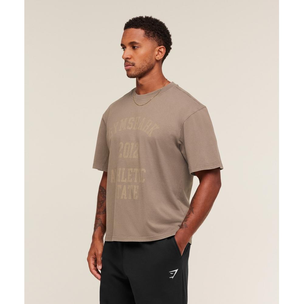 Gymshark CollegiaTe Washed T shirT sofT Brown A3b5o Nbzv