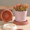 Succulent Planter Drainage Saucer: Anti-Root Rot Water Catcher Tray for Small Green Plants