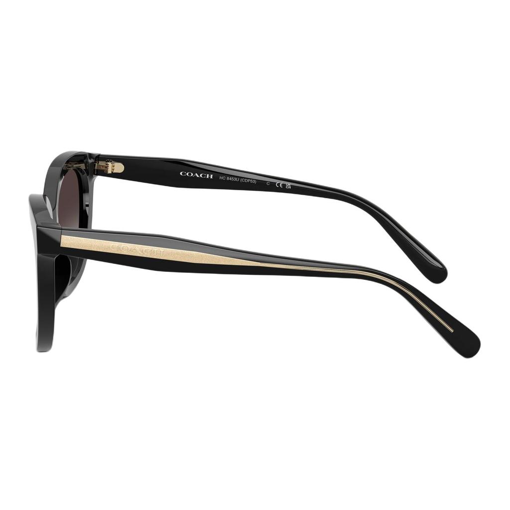 COACH Sunglasses Women's 0HC8453U50028G56