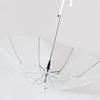 Women's Stylish Transparent Umbrella with Long Handle - Lightweight, Fresh Design, Perfect for Students and Outdoor Use.