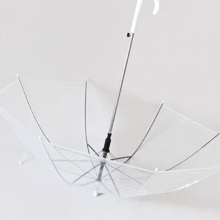 Women's Stylish Transparent Umbrella with Long Handle - Lightweight, Fresh Design, Perfect for Students and Outdoor Use.